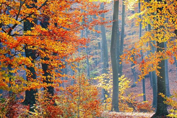 SRI Funds: Making A Difference